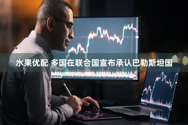 水果优配 多国在联合国宣布承认巴勒斯坦国